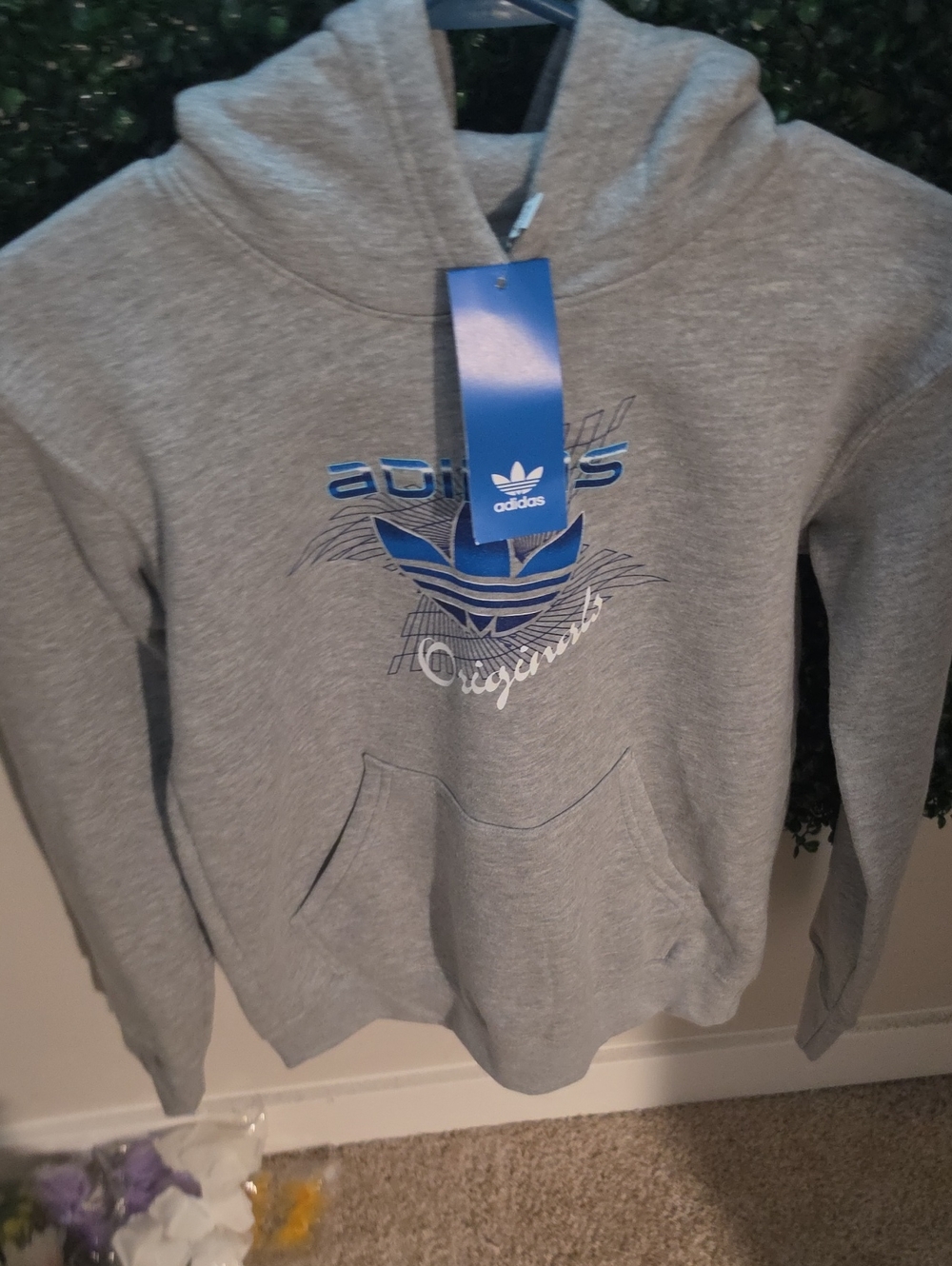 adidas Gray Hoodie with Blue Trefoil Graphic